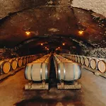 Château Bellevue-domaines Loron Villié-Morgon