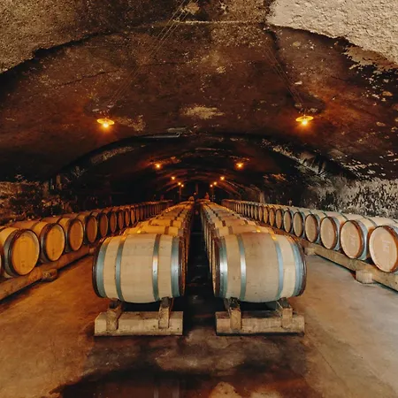 Chateau Bellevue-domaines Loron Villié-Morgon